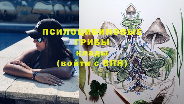 бутират Алексеевка