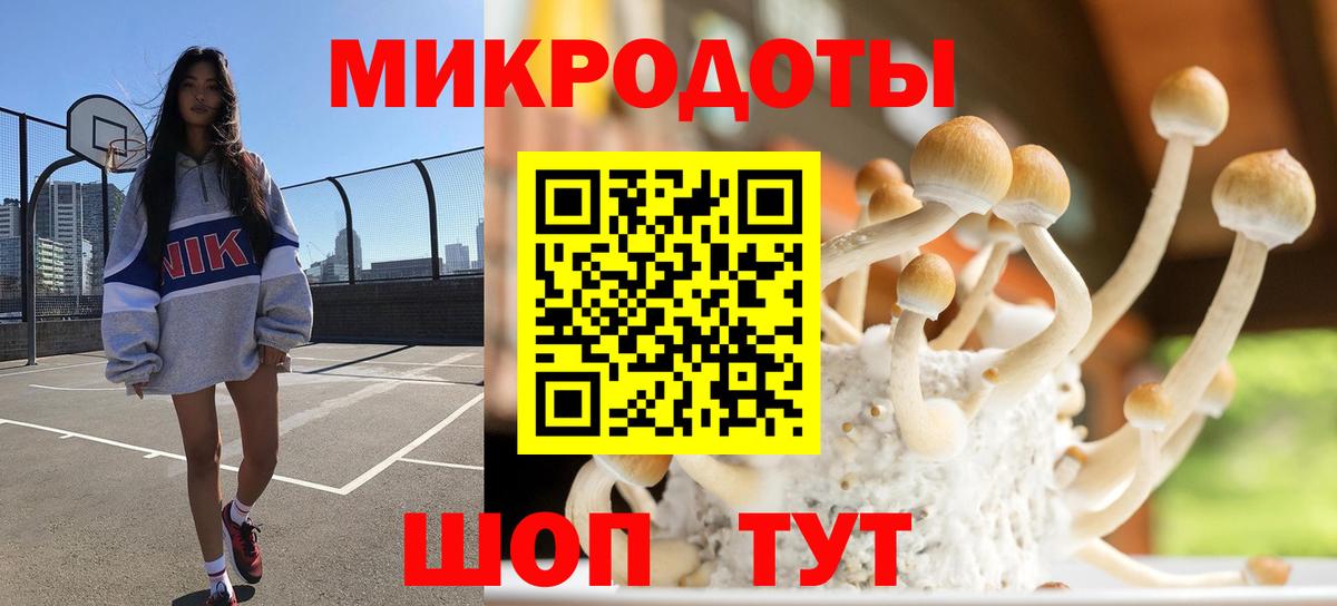 Псилоцибиновые грибы Psilocybine cubensis Апрелевка